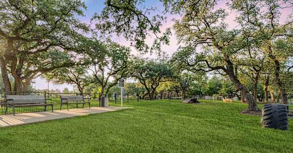 A park with a bench and trees.