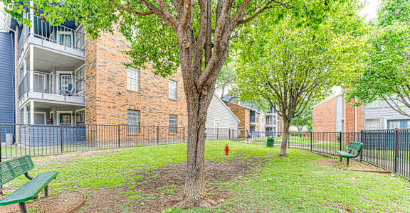 A tree in a grassy area with a red fire hydrant in the background.