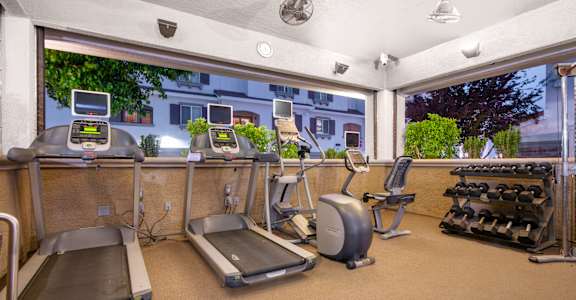 A gym with treadmills, exercise bikes, and weight machines.