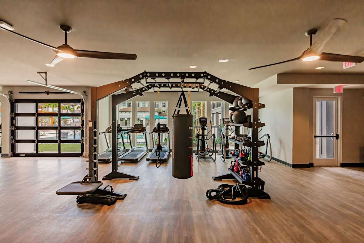 Harrison Apartments fitness center with equipment - Sarasota, FL