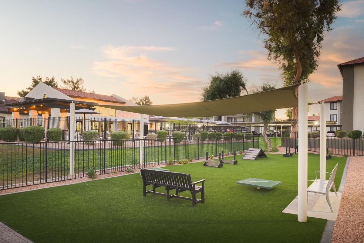 Shared outdoor space at Reveal.