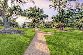 A pathway in a park with trees on either side.