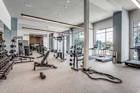 A spacious gym with a variety of equipment including treadmills, weights, and exercise machines.