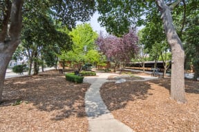 a pathway through a park with trees and a building in the background