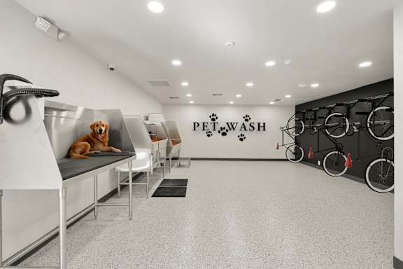 Dog Wash Center at AVIA Lofts on Parkway, Vancouver