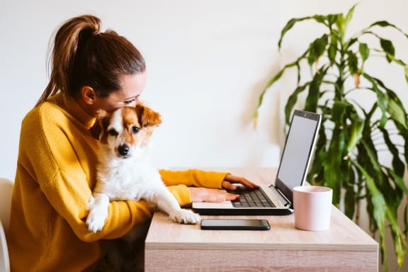 a woman sitting at a desk with a dog using a laptop computer