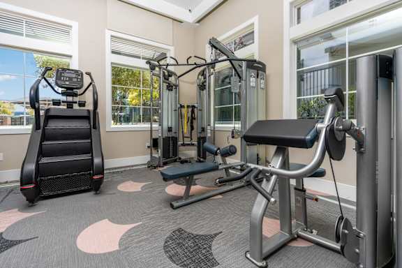 A gym with a treadmill, a bench press, and a squat rack.