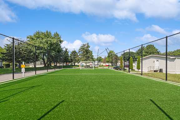 A green lawn with a fence and trees in the background.