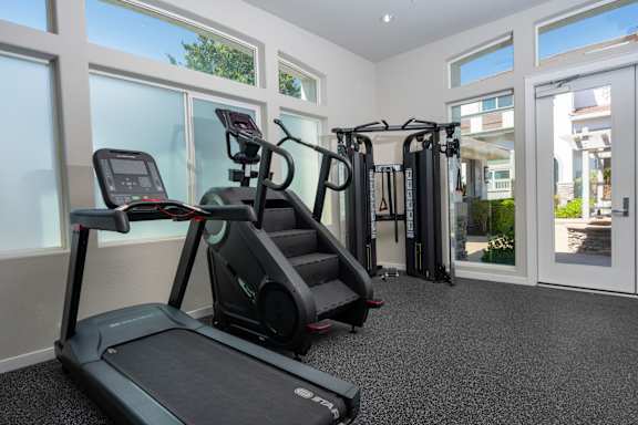 A gym with treadmills, elliptical machines and a stationary bike.