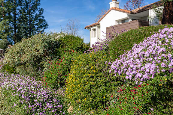 A white house with a brown roof is surrounded by a variety of colorful flowers.