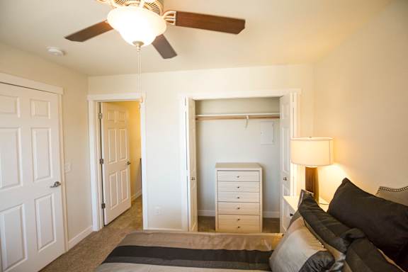 Image of bedroom closet with hanger rack