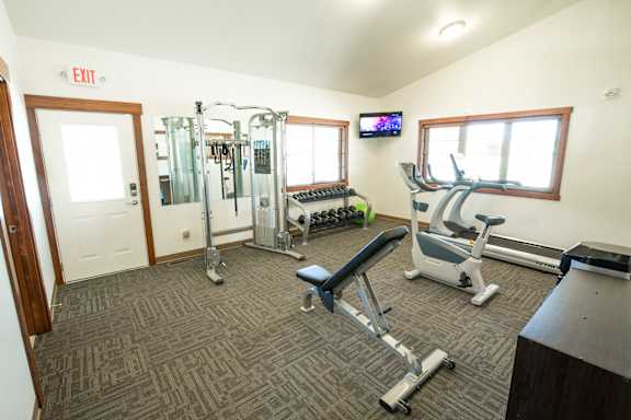 Image of exercise equipment