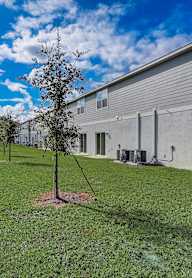A tree stands in a grassy yard in front of a grey building.