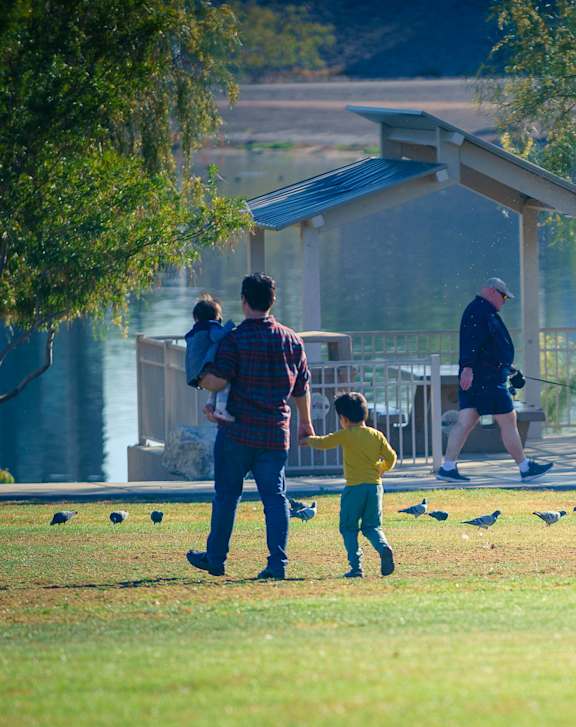 A family of three walking in a park with a dog and birds.