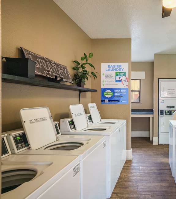 A laundromat with rows of washers and dryers.