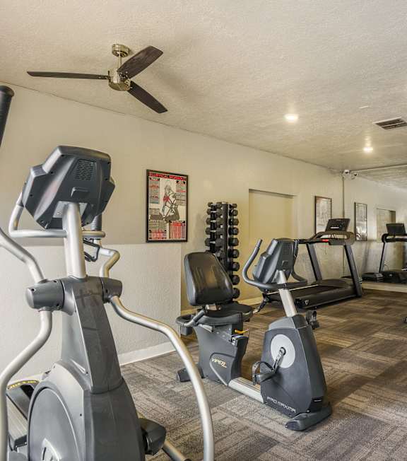 A spacious gym with a variety of equipment including treadmills, stationary bikes, and weight machines.