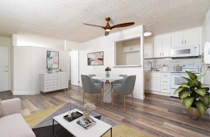 furnished living room and kitchen