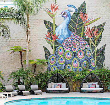 A peacock mural is painted on a wall above a pool.