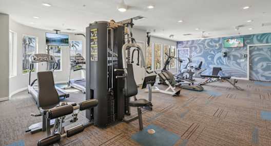 a gym with cardio machines and other exercise equipment in a room with a wall mural