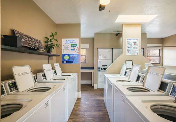 A laundromat with rows of washers and dryers.