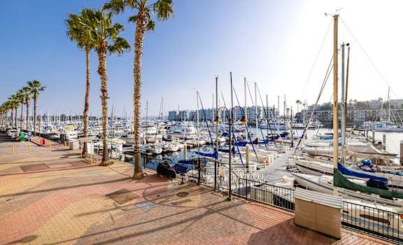 A marina with boats and palm trees.