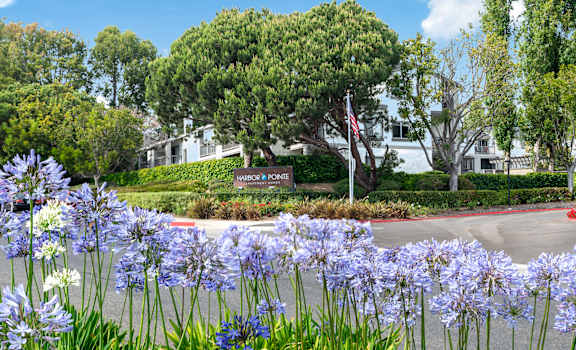 Flowers at Harbor Pointe, Dana Point, CA, 92629