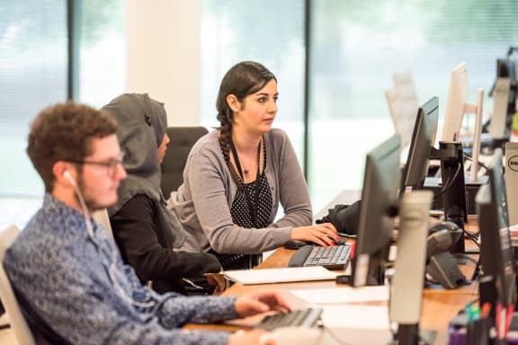 people working at computers in an office