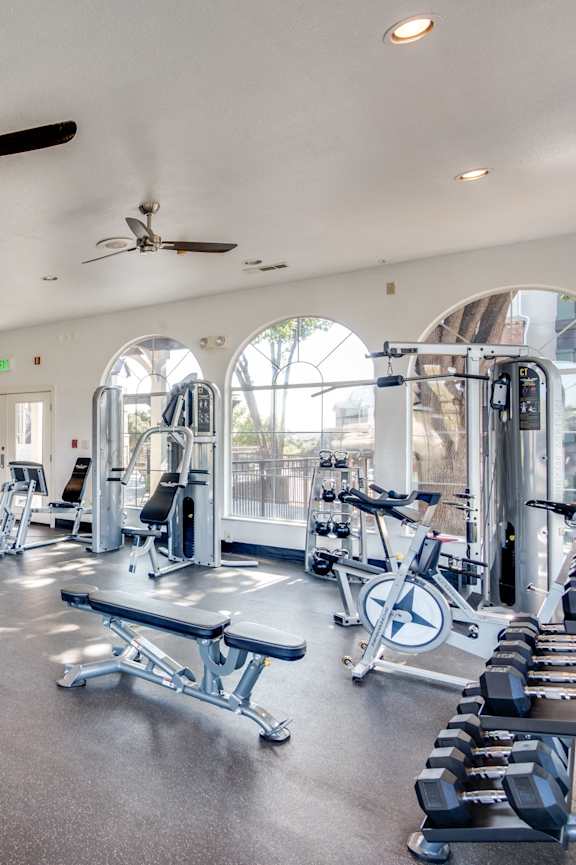 A spacious gym with treadmills, weights, and exercise equipment.