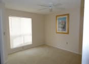 Thumbnail 1 of 6 - Bedroom With Carpet at  Bridgewater Apartments, St. Petersburg, Florida,FL