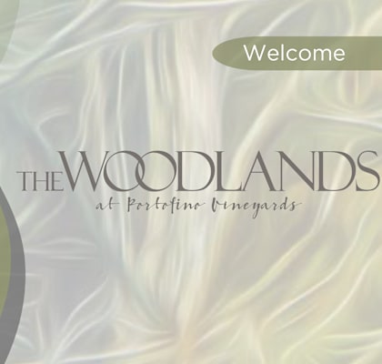 a white silk backdrop with the wordlands logo   welcome
