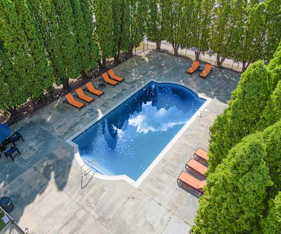 A swimming pool surrounded by trees and lounge chairs.