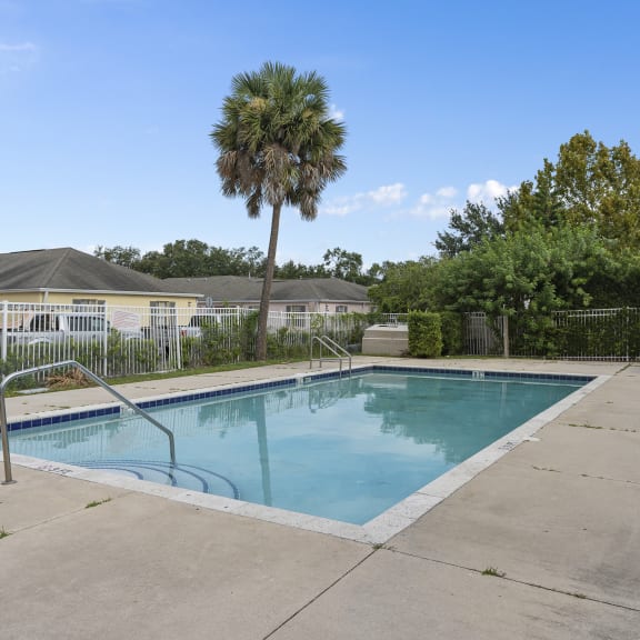 A swimming pool surrounded by a concrete patio and a palm tree at The Groves at Wimauma Apartments , Wimauma, Florida