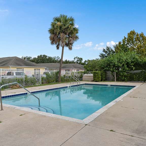 A swimming pool surrounded by a concrete patio and a palm tree at The Groves at Wimauma Apartments , Wimauma, Florida