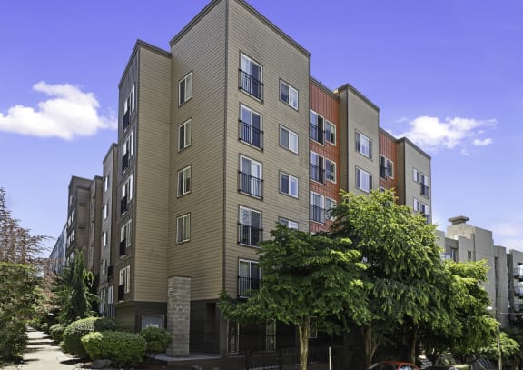 a rendering of an apartment building with trees in the foreground and a blue sky in the background at Illumina Apartment Homes, WA 98102