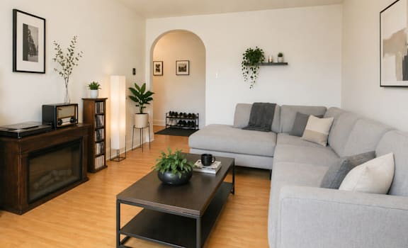 A living room with a grey couch, a coffee table, and a fireplace.