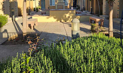 A sunny day in a courtyard with a bench and a tree.