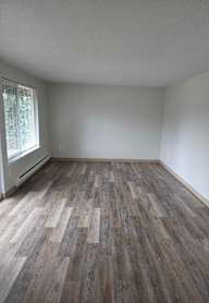 A room with a wood floor and a window.