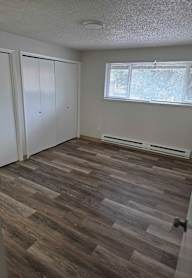 A room with wood flooring and two white closet doors.