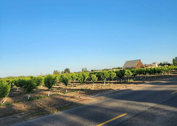 A road with a yellow line in the middle stretches into the distance with trees and a building on the right.