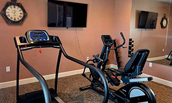 A home gym with a treadmill and a stationary bike.
