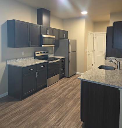 A kitchen with black cabinets and a granite countertop.