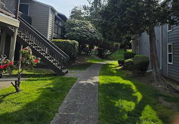 A sunny day in a quiet residential area with a pathway leading to a house.