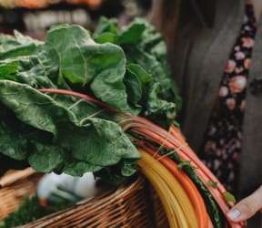 Vegetable Market nearby at Murdock Gardens, Lafayette, IN, 47904