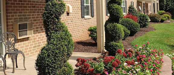 a yard with flowers and bushes in front of a building