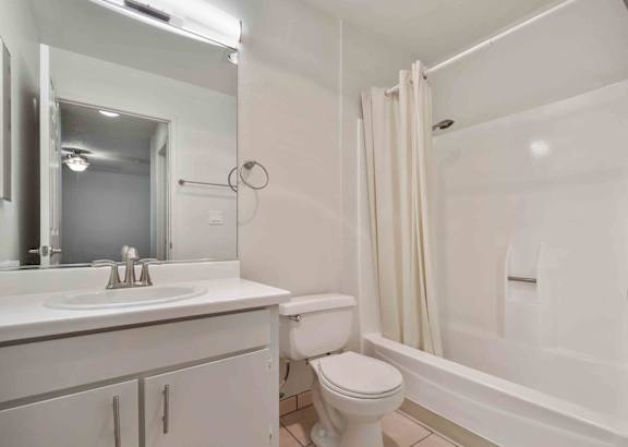 a bathroom with a sink and a toilet and a shower