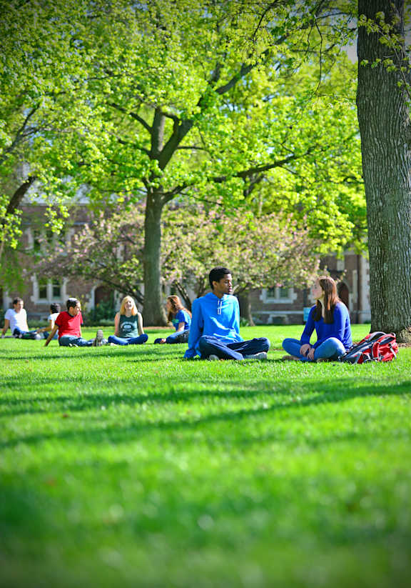 A group of people are sitting on the grass in a park.