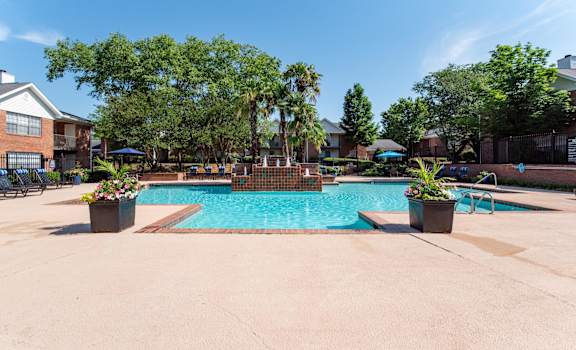 our apartments have a large swimming pool with trees