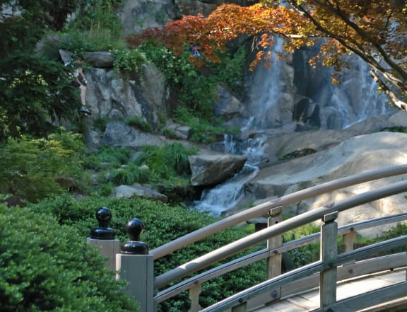 a bridge over a waterfall in a garden