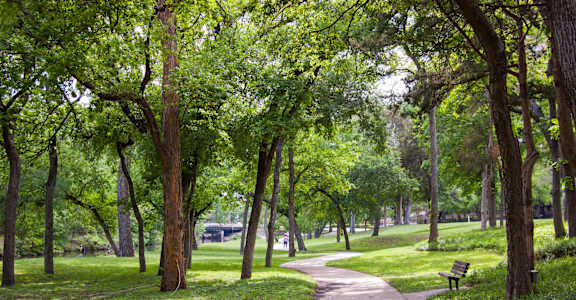 a path through a park with trees and a bench