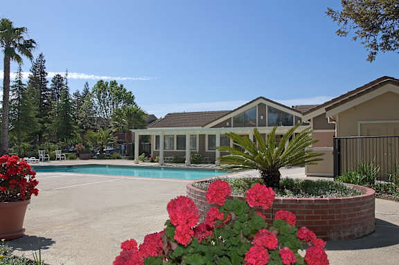 A pool area with a building and a palm tree.